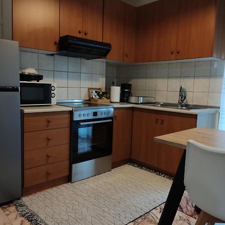 Andreou Apartment Ioannina Bagian luar foto