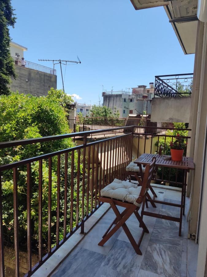 Andreou Apartment Ioannina Bagian luar foto