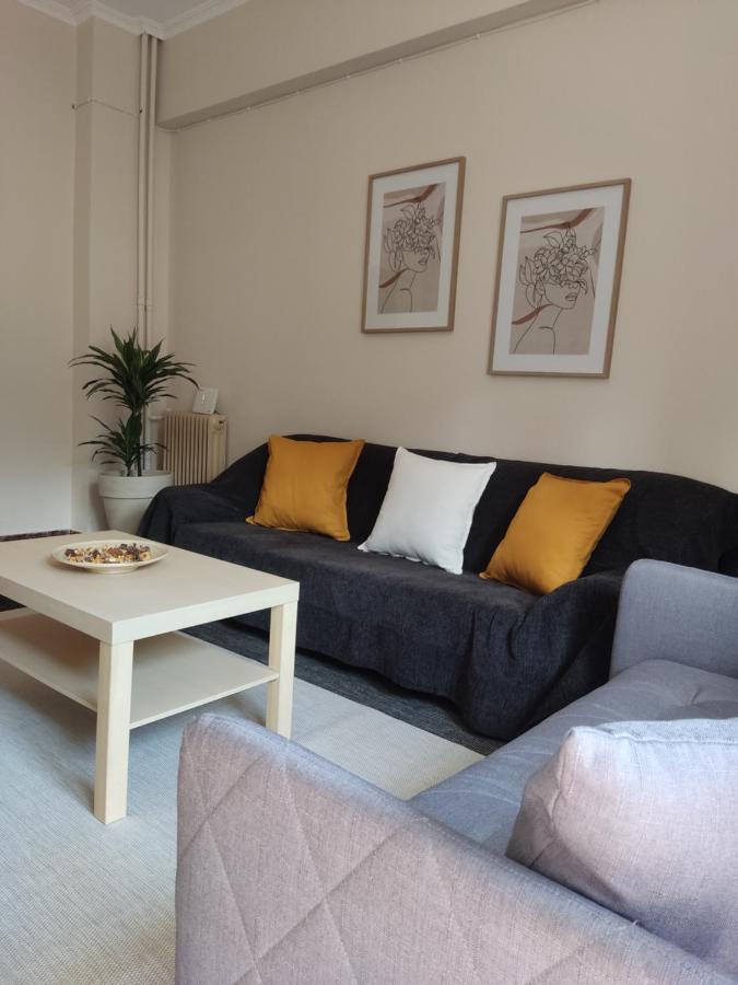 Andreou Apartment Ioannina Bagian luar foto